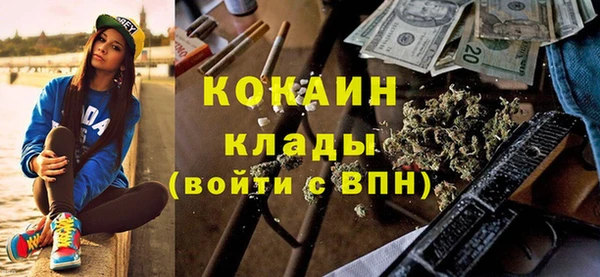 гашик Аркадак