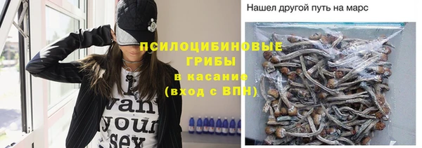гашик Аркадак