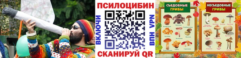 Галлюциногенные грибы прущие грибы  Белая Холуница 
